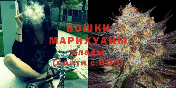 сатива Карпинск