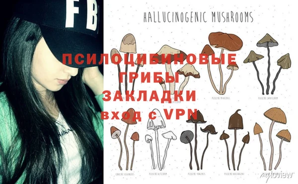 ешки Алексеевка