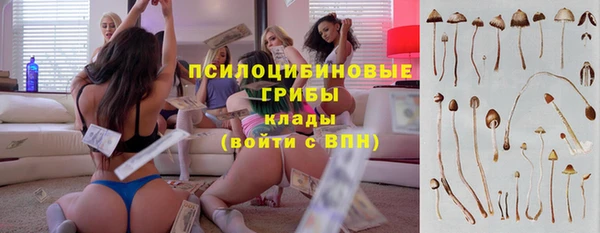 МДПВ Карталы