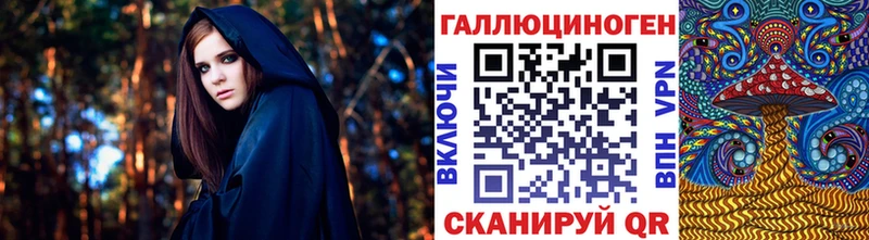 закладка  Протвино  Галлюциногенные грибы Psilocybe 
